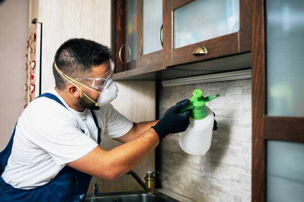Norton, OH Pest Control Company