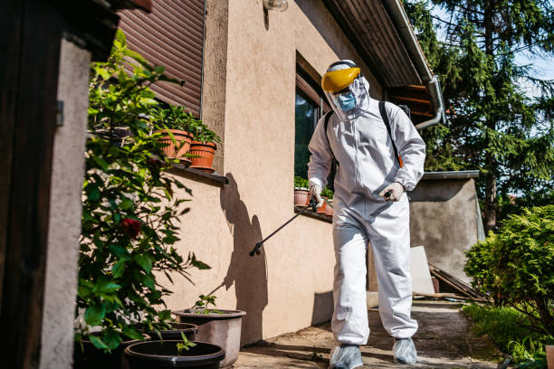 Best Pest Prevention Services  in Norton, OH