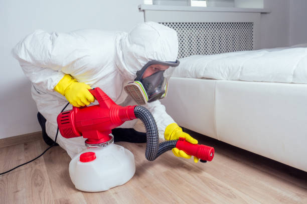 Best Pest Control Treatment  in Norton, OH