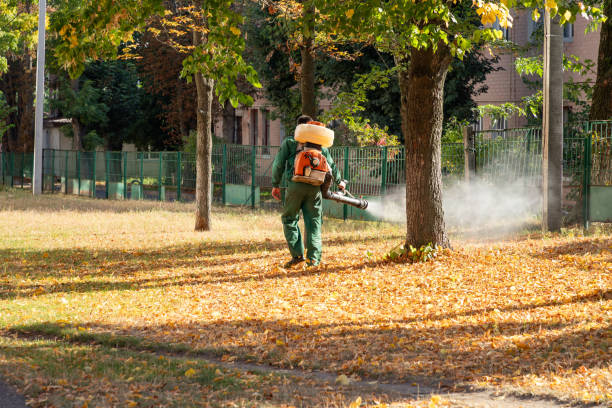 Best Termite Control Services  in Norton, OH