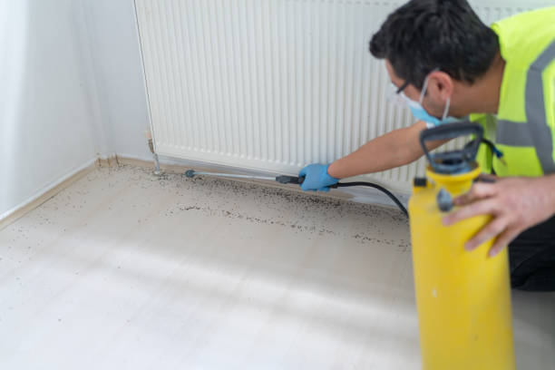Pest Control for Restaurants in Norton, OH
